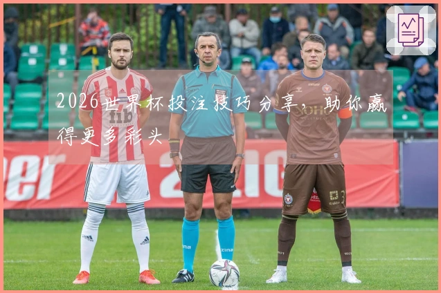2026世界杯投注技巧分享，助你赢得更多彩头